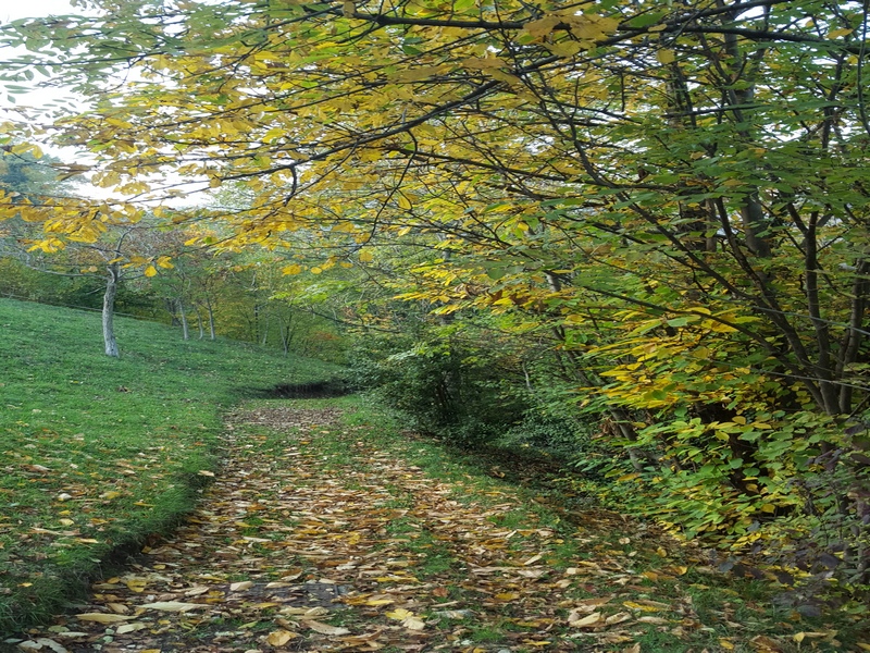 Passeggiata fra i sentieri