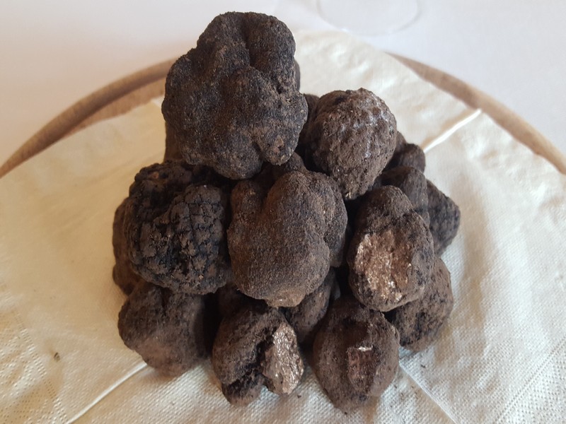 tartufo nero 1